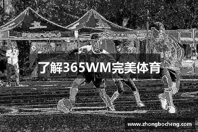 了解yy易游